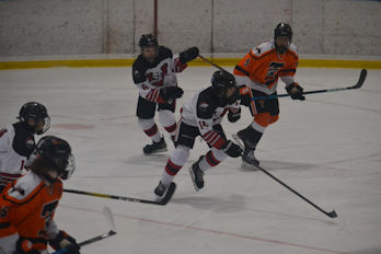 DSC_0217 DSC_0217