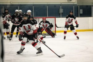 IMG_1774 IMG_1774